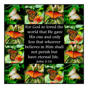 JOHANNES 3:16 VLINDERONTWERP POSTER