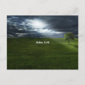 Johannes 3:16 Want zo lief heeft God; Pad naar het Briefkaart (Achterkant)