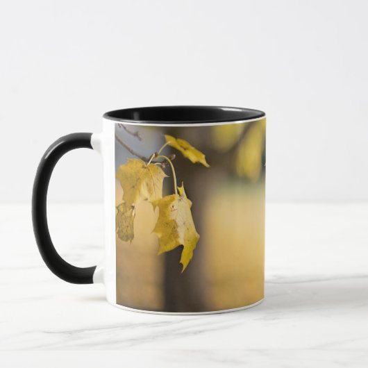 Johannes 8:32 De Waarheid zal u de VRIJE Bijbel Ve Mok (Links)