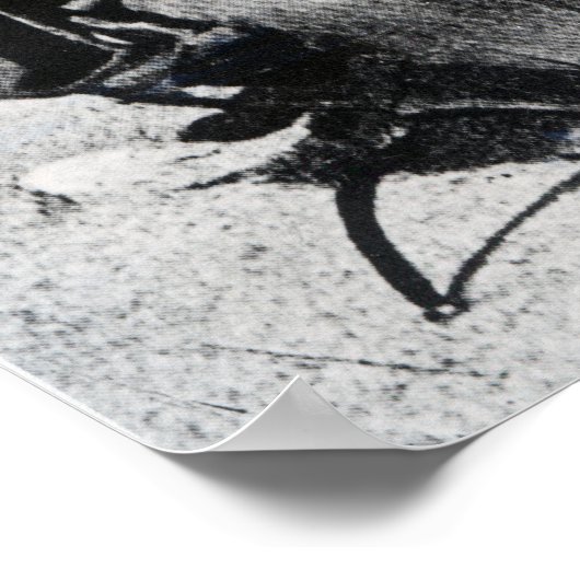 Johannes Brahms, c.1897 Poster (Hoek)