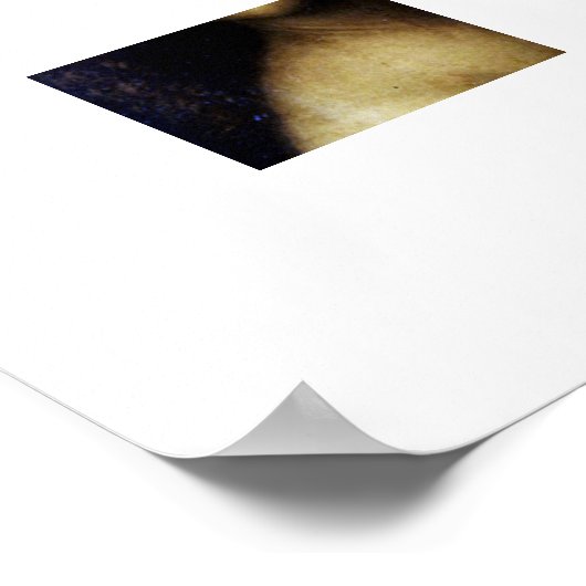 Johannes de Doper door Leonardo da Vinci's Poster (Hoek)