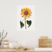 Johannes Teyler's Sunflower Poster (Keuken)