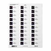 Johannes Vermeer - De Astronomer Etiket (Full Sheet)