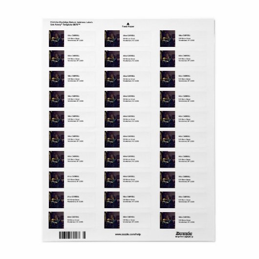 Johannes Vermeer - De Astronomer Etiket (Full Sheet)