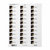 Johannes Vermeer - Mistress en Maid Etiket (Full Sheet)