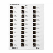 Johannes Vermeer - The Geographer Etiket (Full Sheet)