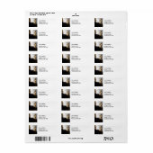 Johannes Vermeer - Young Woman with Pearl Ketting Etiket (Full Sheet)