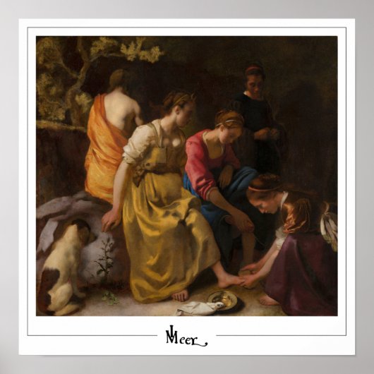 Johannes Vermeer Zedign Art Poster #16 (Voorkant)