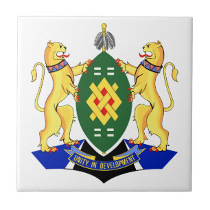 Johannesburg Flag Tegeltje