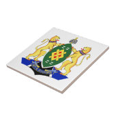 Johannesburg Flag Tegeltje (Zijkant)