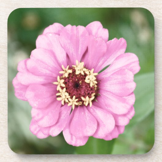 Johann's Beauty Cork Onderzetter (Voorkant)