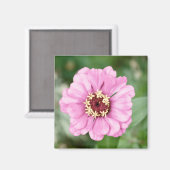 Johann's Beauty Magneet (Voorkant / Achterkant)