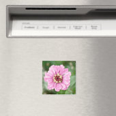 Johann's Beauty Magneet (Insitu (Vaatwasser))