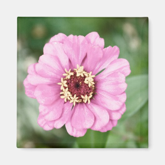 Johann's Beauty Magneet (Voorkant)