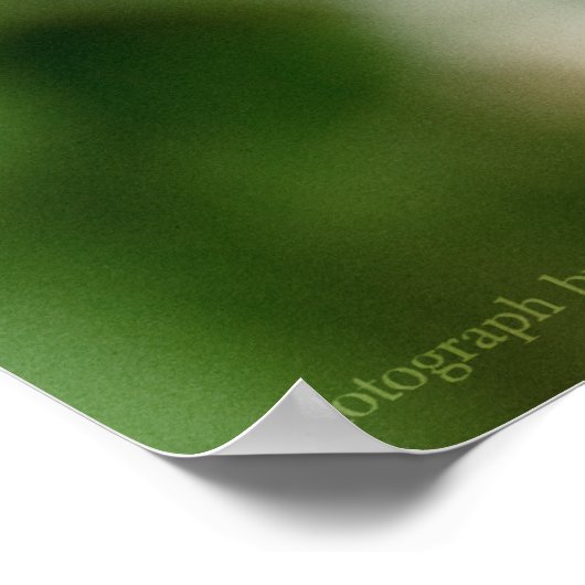 Johann's Beauty Poster (Hoek)