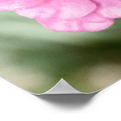 Johann's Beauty Poster (Hoek)