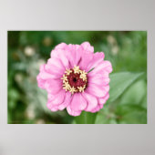 Johann's Beauty Poster (Voorkant)