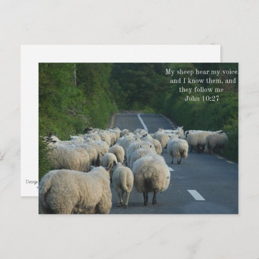 John 10:27 Christelijk Briefkaart (Voorkant / Achterkant)
