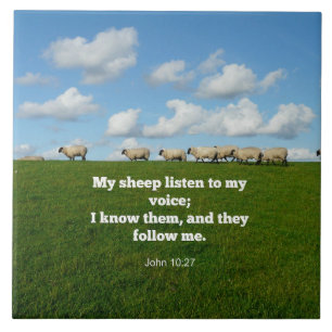 John 10:27, scripture verse, tegeltje