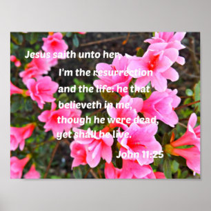 John 11:25 Jezus saith tegen haar, ik ben de Poster