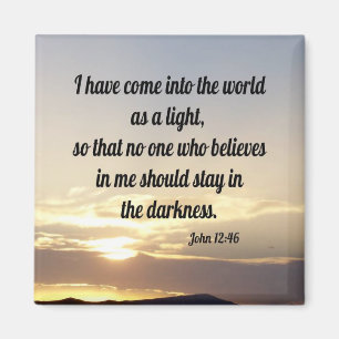 John 12:46 magneet