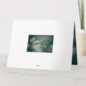 John 13:34 hou van elkaar omdat ik van je hou kaart (Achterkant)