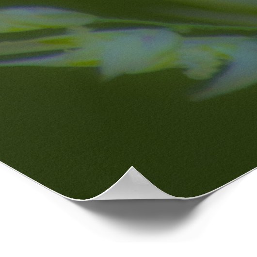 John 13:34 poster (Hoek)