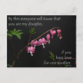 John 13:35 - Liefde voor elkaar Briefkaart (Voorkant)