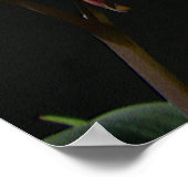 John 13:35 - Liefde voor elkaar Poster (Hoek)