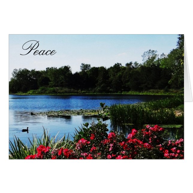 John 14:27 Peace Kaart (Voorkant Horizontaal)