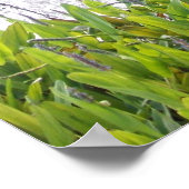 John 14:6 poster (Hoek)