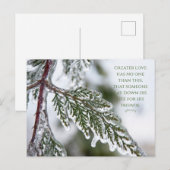 John 15:13 Icy Evergreen Briefkaart (Voorkant / Achterkant)