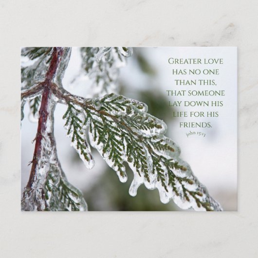 John 15:13 Icy Evergreen Briefkaart (Voorkant)
