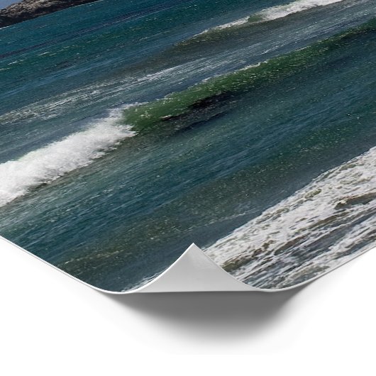 John 15:16 Poster (Hoek)