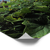 John 15:27 Vrede die ik met je verlaat, mijn vrede Poster (Hoek)