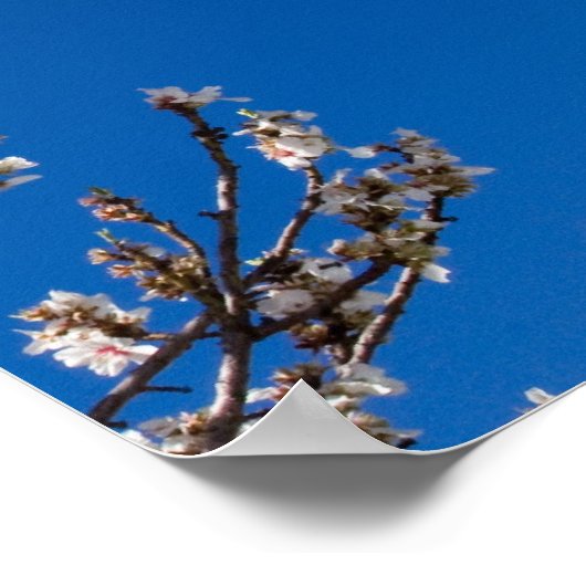 John 15:4-5 Abide Poster (Hoek)