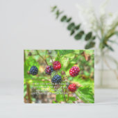 John 15:5 briefkaart (Staand voorkant)