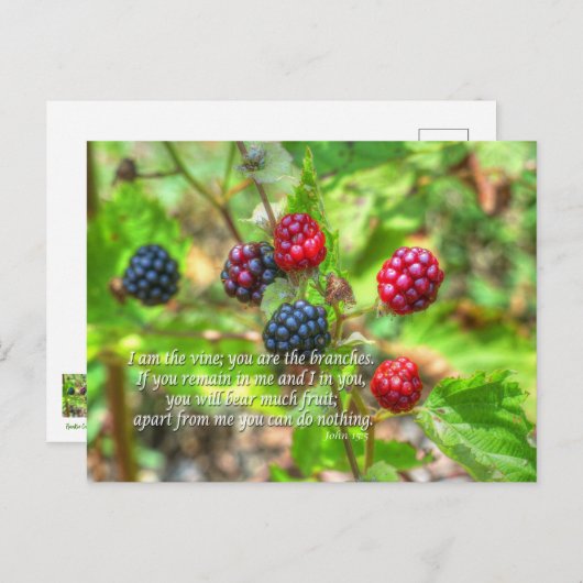 John 15:5 briefkaart (Voorkant / Achterkant)