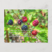 John 15:5 briefkaart (Voorkant)