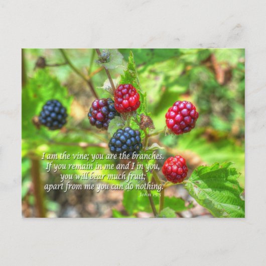 John 15:5 briefkaart (Voorkant)