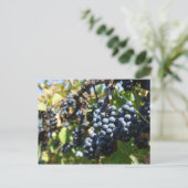 John 15:5 Briefkaart druiven (Staand voorkant)