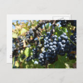 John 15:5 Briefkaart druiven (Voorkant / Achterkant)