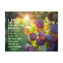 John 15:5 Ik ben de zegen... jij bent de Bijkantor
