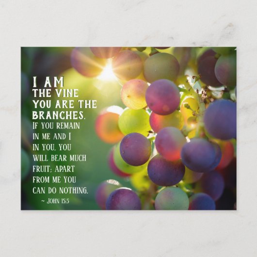 John 15:5 Ik ben de zegen... jij bent de Bijkantor Briefkaart (Voorkant)