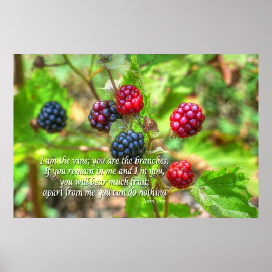 John 15:5 poster (Voorkant)