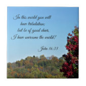 John 16:33 In de wereld.. Tegeltje (Voorkant)