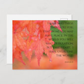 John 16:33 Rood Japans Esdoorn regendruppel Briefk Briefkaart (Voorkant / Achterkant)