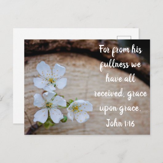 John 1:16 Wild Cherry Flowers Briefkaart (Voorkant / Achterkant)