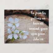 John 1:16 Wild Cherry Flowers Briefkaart (Voorkant)