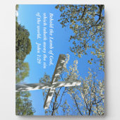 John 1:29 Behold de Lamb van God, die Fotoplaat (Voorkant)